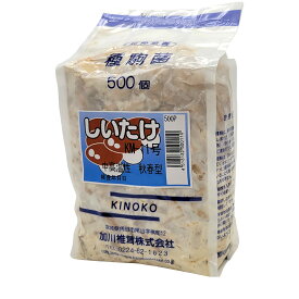 【3/31までエントリーで最大100%Pバック】500個入 種駒 しいたけ KM-11号 丸棒型 食用きのこ菌 キノコ 椎茸 シイタケ 椎茸種駒 加川椎茸 米S DZ 返品不可