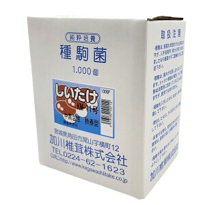 �y100%�|�C���g�o�b�N �G���g���[�����I2/25�܂Łz1000�� ��� �������� KM-11�� �ۖ_�^ �H�p���̂��� �L�m�R �ő� �V�C�^�P ����ő� ��S DZ �ԕi�s��