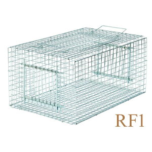 3 o[hgbv RF1 E-01 ߊl hogȂ hH T D