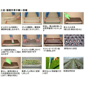 【105冊】ペーパーポットNo.2-264(5H)264本分タ種【代引不可】