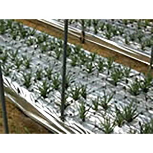 2{ |VC}`LL  0.03mm×1.2m×200m G[ACV[ebN J{ kCs s