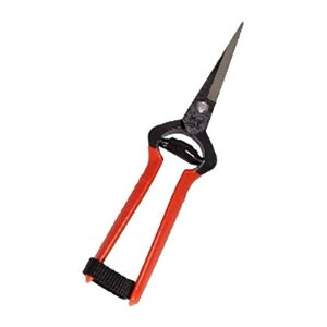 20 K-4 ŕ  k^ bi ѐ H