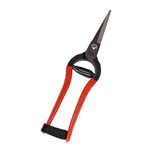 20 K-7 ŕ  MB^ bi ѐ H