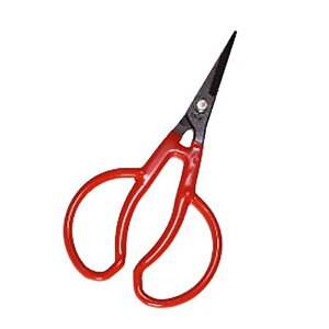 20 K-23 v`Jbg Ԃǂp qp LbY yĎ₷ ѐ H