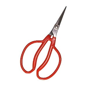 20 K-14 XeX Ԃǂ Ԉ  uhE ѐ H