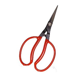 20 K-22 Ԃǂ Ԉ  uhE ѐ H