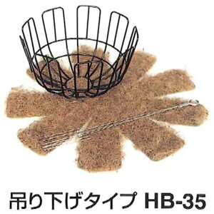 観葉植物 ヤシ ハンギングの人気商品 通販 価格比較 価格 Com