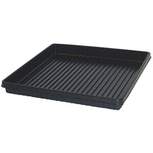 50 }`ʋg[ n[tTCY A_[gC C G s