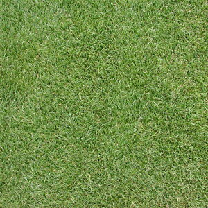  10kg AjACOX tFAEFC3 EB^[I[o[V[fBO  dFtEH c S s (o^i햼:NCbNh[)