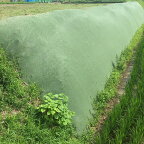 雑草抑制おまかせネット 幅4.0m×25m巻 グリーン 雑草対策 大一工業 法面 畦畔 北海道配送不可 代引不可 up
