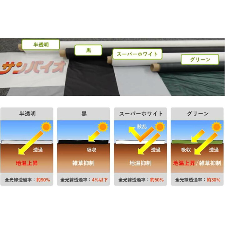 楽天市場】【7/1〜最大100%Pバック抽選で要エントリー】12本 生分解 