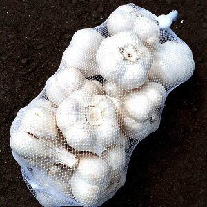 3kg 栽培用 ニンニク 青森県産 ホワイト六片 Lサイズ にんにく 球根 種用 米S 代引不可