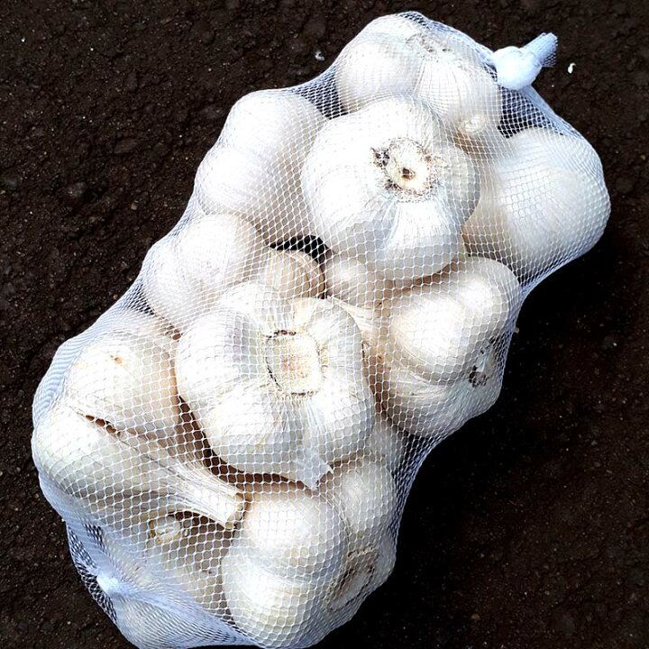 楽天市場】10kg 栽培用 ニンニク 青森県産 ホワイト六片 Lサイズ 