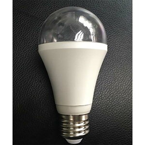 �y100%�|�C���g�o�b�N �G���g���[�����I2/25�܂Łz10�� �O���[�X���C�g A-type �ԉ蕪���}�� ����pLED���C�g �A����p �e�E��t�p �n�i�I�J ����s��