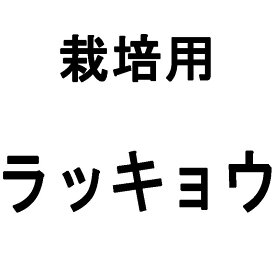 楽天市場 らっきょう 栽培用の通販