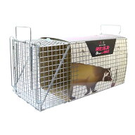 【7/1〜最大100%Pバック抽選で要エントリー】D type No.402 AG-2 ハクビシン アライグマ キツネ 狐 捕獲…