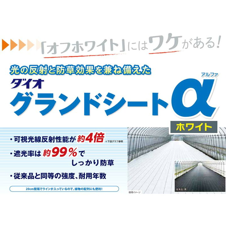 楽天市場】個人宅配送不可 ダイオ グランドシート α アルファ ホワイト 白 200cm×100m 防草シート 反射シート ダイオ化成 イノベックス タ種 代引不可 : 農業用品販売のプラスワイズ 楽天市場】個人宅配送不可 ダイオ グランドシート α アルファ ホワイト 白 200cm×100m 防草シート 反射シート ダイオ化成 イノベックス タ種 代引不可 : 農業用品販売のプラスワイズ