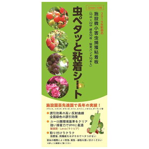 12 y^bƔSV[g ΐF 10 10cm×22cm rj^C10{ vX`bNSV[g Q ߒ 򐻖 lzs s