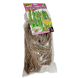 1 oCg AXpKXc 8LTCY ͔|p JlRc DZ (o^i햼:oCg)