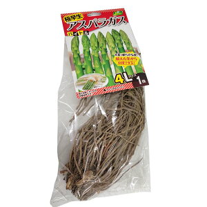 1 oCg AXpKXc 4LTCY ͔|p JlRc DZ (o^i햼:oCg)