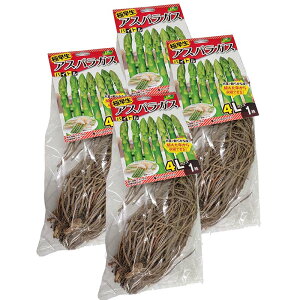 4 oCg AXpKXc 4LTCY ͔|p JlRc DZ (o^i햼:oCg)