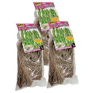 3 oCg AXpKXc 8LTCY ͔|p JlRc DZ (o^i햼:oCg)