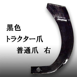 30Zbgł gN^[ (F) ʒ E VN s