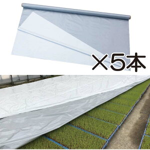 5{ nCzCgVo[ 2.3×25m cpV[g p cĂh~  ۉ n}  ې nEX v[c 핢 J}eA 230 ^SDZ