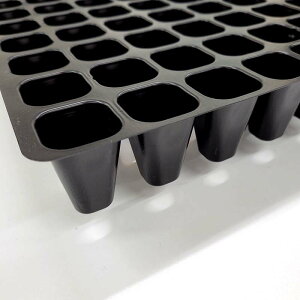 100 vOg[  200 ut 300×589mm |vs Y S_^Cv cg[ gC c AhEP~J TT lzs s