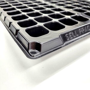 100 Zg[  72 p 280×545mm |vs Y C`^Cv cg[ ZgC AhEP~J TT lzs s