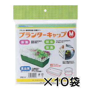 10 v^[LbvM 2 J}eA YsDzgp v^[͔|p ۉJo[ یJo[ h h ƒ؉ C^j Iwatani ^S DZ