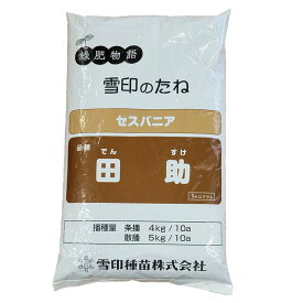 種 1kg セスバニア 田助 畑地 土壌保全 緑肥 雪印種苗 米S 代引不可 (登録品種名:田助)