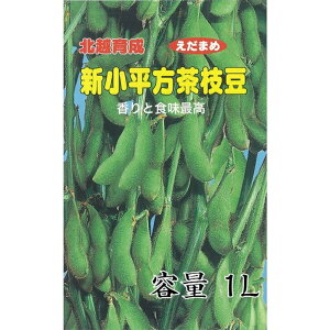 q 1L } V kz琬 ͔|p ؃^l ؎q ؂̃^l G_} kz_ D