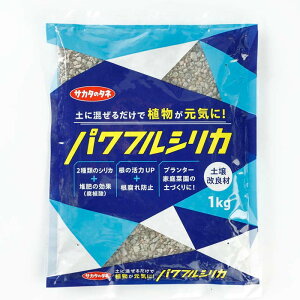 ptVJ 1kg y y ỹTCN [ICg O[^t TJ^̃^l DZ