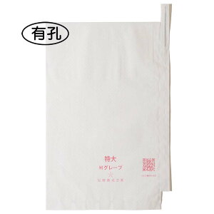 2000 ʎ  LE iL HO[v 240×360mm 553684 4570123992958 uhE Ԃǂp|  s