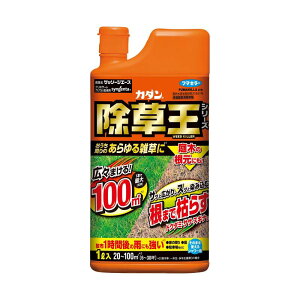 15{  J_  Ub\[WG[X 1L G΍  G t}L[ J lzs s