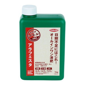 12{ AtFX^ 1kg ALA-FeSTA \^t t̔엿 TJ^̃^l TJ^}V[Y s