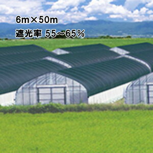 6m×50m  Ռ55`65 ChXN[ Ռlbg BK1008  Ռ lbg rj[nEX {ChNX ^S s