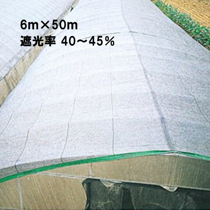 楽天市場】【4/30までエントリーで最大100%Pバック】6m×50m シルバー 