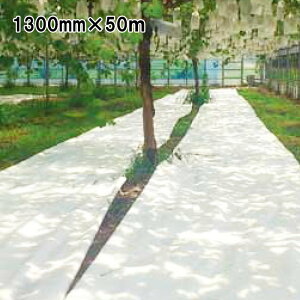 1300mm×50m  ĂĂ Ռlbg  JX ANCI TT s