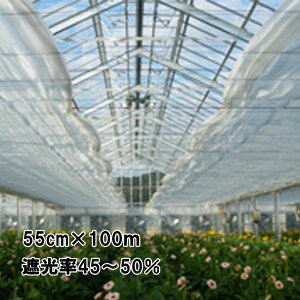 55cm×100m  Ռ45`50 zCgnCuX Ռlbg 4500SW  CmxbNX TT kCs lzs s