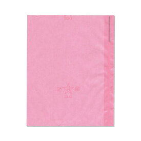 100枚 リンゴ用 果実袋 サンアップル袋 8切 140×173mm 一重袋 551892 林檎 りんご 用 掛袋 収穫 収穫 防菌 星野 DZ