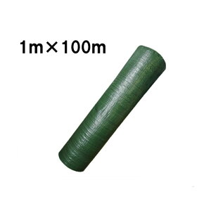 4-6Nϋv i 悯V[g hV[g O[ 1m×100m E悯V[g VN s