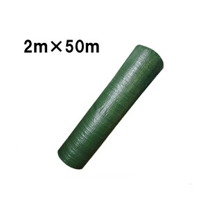 4-6Nϋv i 悯V[g hV[g O[ 2m×50m E悯V[g VN s