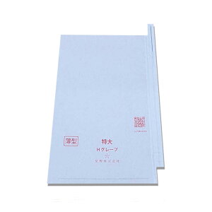 2000 ʎ  ^ iL HO[v 240×360mm 553623 4570123992569 uhE Ԃǂp|  s