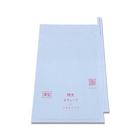100枚 果実袋 特大 薄型 段有 Hグレープ 240×360mm 553623 4570123992569 ハウス用 施設栽培用 超大房サイズ ブドウ ぶどう用掛袋 星野 DZ