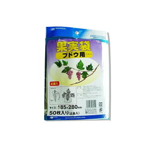 2500 ʎ uhE  185×280mm ~ Ԃǂ  {}^C s