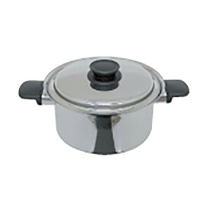 Xs[l [^  22cm IHΉ XeX { EV} TD