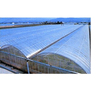 m[rG[X݂炢 0.1mm 700cm 15m  _Ɨp rj[tB O _r nEX MKVAhoX J{ s