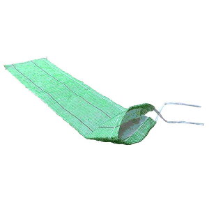 100 ^O[`bN2 Aŷ Ή V{Ή B {B艿i s